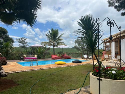 a swimming pool in a yard with a palm tree at Glamping do luxo - Tenda Curicaca in Delfinópolis