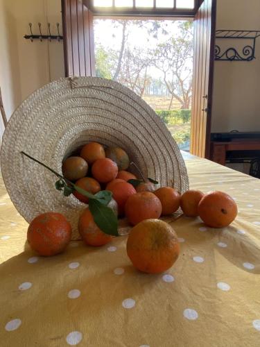 a basket of oranges sitting on a table at Glamping do luxo - Tenda Curicaca in Delfinópolis