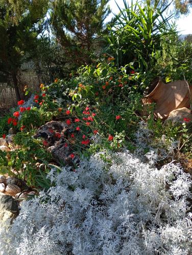a garden with colorful flowers and plants at Elia by the sea in Psakoudia