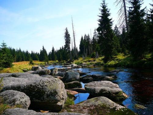 a river with rocks and trees on a hill at Józefina Apartament's blisko centrum in Szklarska Poręba