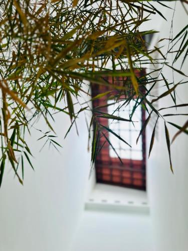 a view of a window through a plant at New Takekaze Retreat 竹风之家 for 14 pax at Central Penang in George Town
