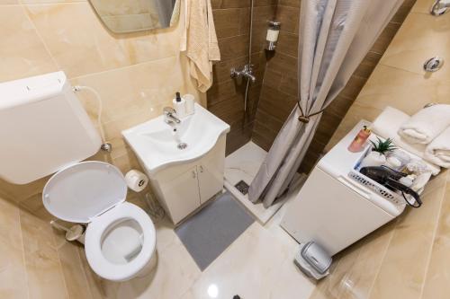 Un baño con inodoro, lavabo y ducha. en 011 Milesevska, en Belgrado