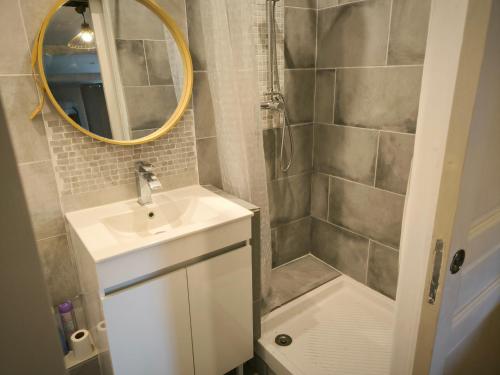 une salle de bain avec un lavabo, une douche et un miroir dans l'établissement Le Nid plein centre, à Salon-de-Provence