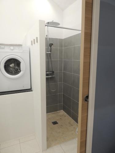 La salle de bains est pourvue d'une douche et d'un lave-linge. dans l'établissement Logement F1 neuf indépendant, à Belfort