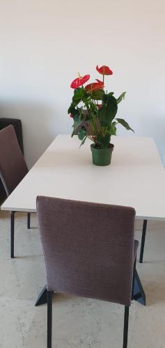 GREEN HOUSE MILANO Bocconi