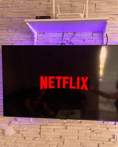 a television screen with the netflix sign on a brick wall at Leyla Lux in Bele Vode