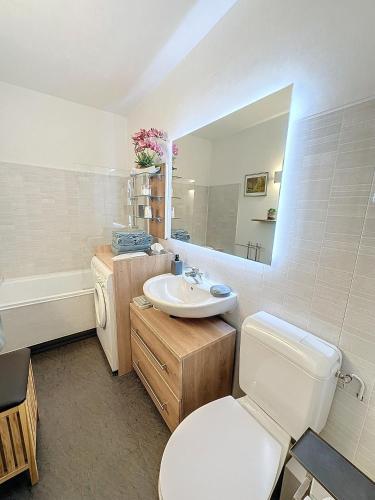 une salle de bain avec toilettes, lavabo et miroir dans l'établissement Ladybird Inn, à Chamonix-Mont-Blanc