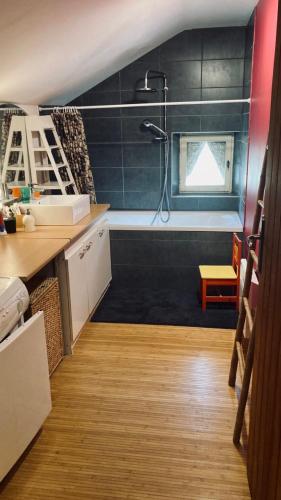 une salle de bain avec douche et baignoire dans l'établissement Le Refuge des Boussardes, au Monêtier-les-Bains