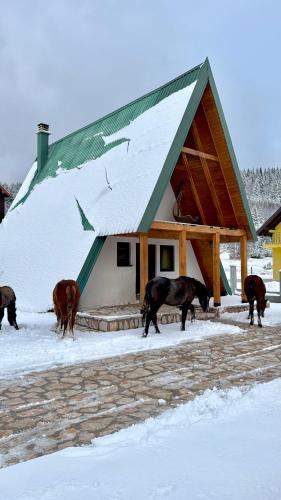 a group of horses standing in the snow in front of a barn at WoodSide Žabljak in Žabljak