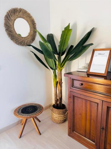 a potted plant sitting next to a table with a mirror at JESSICA&JASMIN alloggio turistico in Fiumicino