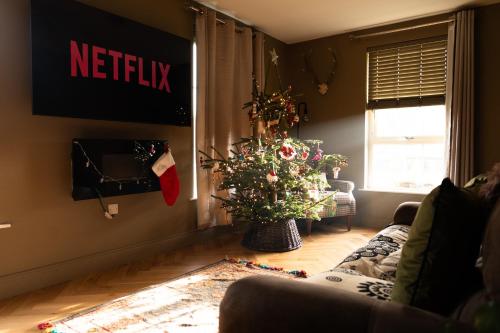 TV a/nebo společenská místnost v ubytování Luxury Studio Apartment - Belfast - Dundonald
