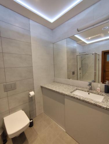 a bathroom with a toilet and a sink and a mirror at Berryblossom Estate in Krosno