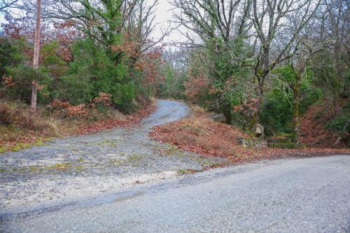an empty road in the middle of a forest at Τείχιο Mariandas House - Tihio - Πέτρινη κατοικία in Tíkhion