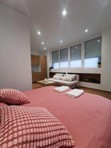 a large room with two beds and a couch at Le Strasbourgeois Moderne & Neuf Voyage en Alsace in Strasbourg