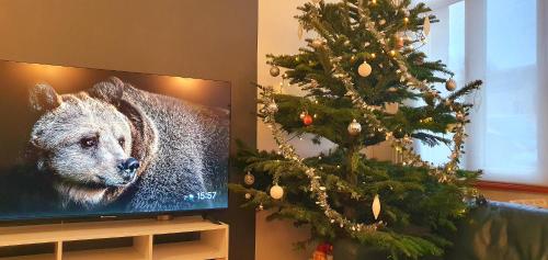 Televisyen dan/atau pusat hiburan di Maison Calme Terrasse et Jardin Vue Forêt