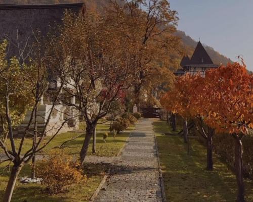 Κήπος έξω από το Chervona Ruta