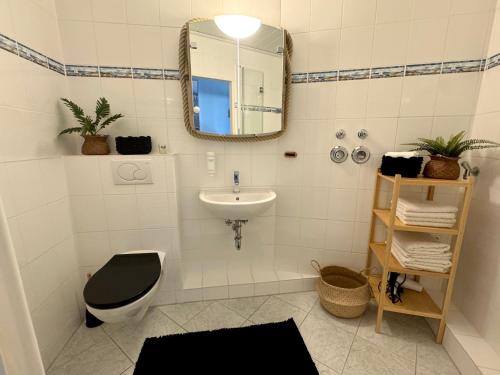 a bathroom with a toilet and a sink and a mirror at Schleiblick in Schleswig