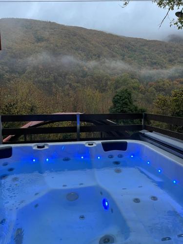 Forest view Aggeliki