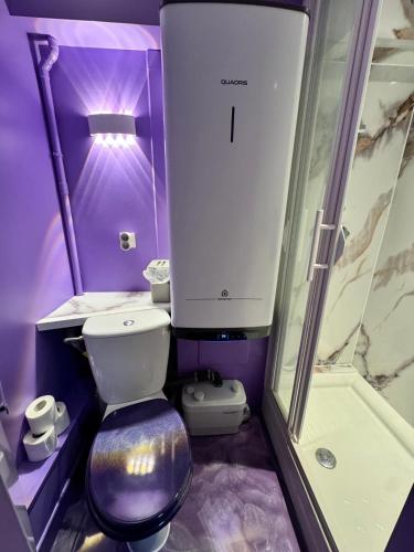 La salle de bains pourpre est pourvue de toilettes et d'une douche. dans l'établissement Nid d'amour, à Trouville-sur-Mer