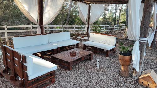 Casa Beja photo 3