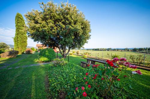 Κήπος έξω από το Agriturismo L'Elce