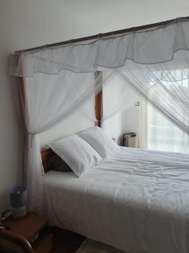 a bedroom with a white canopy bed with a window at Villa Azalée Androhibe in Antananarivo