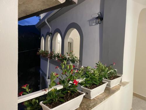 a row of potted plants on a wall at AFFITTACAMERE al CASTELLO AIROLA BN in Airola