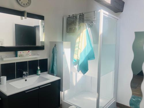 a bathroom with a shower and a sink and a sink at Les chambres d'Ursule in Tartas