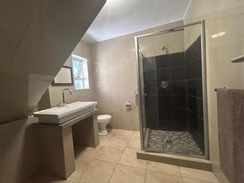 a bathroom with a shower and a sink and a toilet at The Milkwood Place in Kommetjie