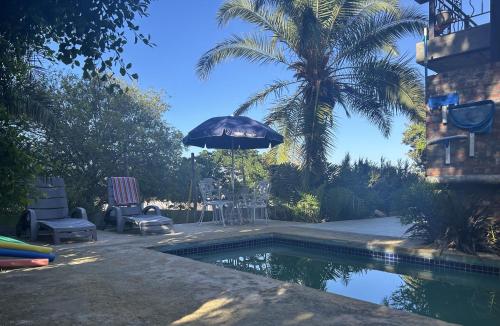 a pool with an umbrella and chairs and a palm tree at The Milkwood Place in Kommetjie