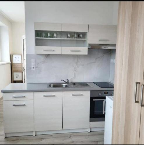 ApartmentAviatorBird