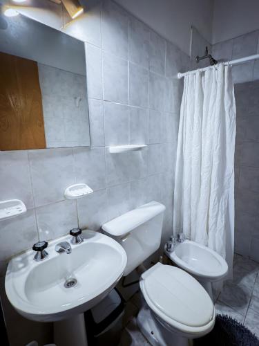 a bathroom with a sink and a toilet and a mirror at Hotel Alta Mendoza in Mendoza