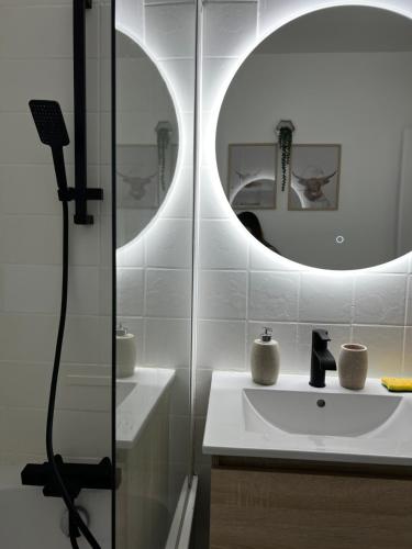 a bathroom with a sink and a mirror at Appartement La Perle Urbaine in Bourges