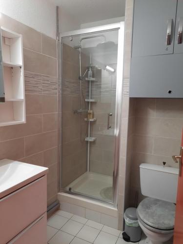 une salle de bain avec une douche en verre et des toilettes dans l'établissement P2 très lumineux, à La Grande Motte