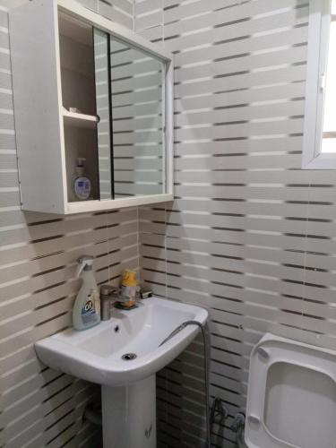 a bathroom with a white sink and a mirror at Luxury Egbeda Apartments in Okunola