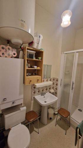 une salle de bain avec un lavabo, des toilettes et une douche dans l'établissement Cauterets, à Cauterets