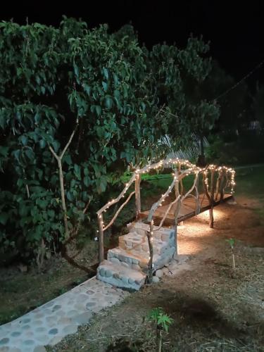 Galería fotográfica de Glamping el nido en Curití