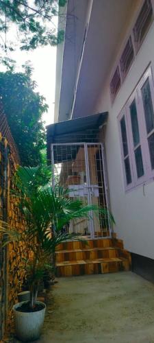 a house with stairs and a plant in front of it at Primrose Homestay in Guwahati