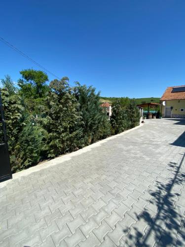 a cobblestone driveway with trees on the side of a house at Casa Nicollae in Silvaşu de Sus