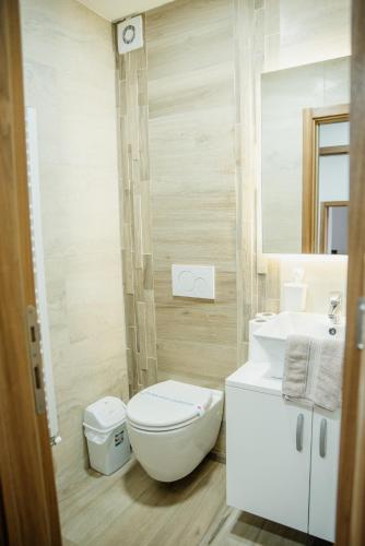 a bathroom with a toilet and a sink at Apartmani Jela Zlatar in Vukovina