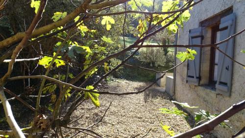Κήπος έξω από το Les gites de Pétrocoriis