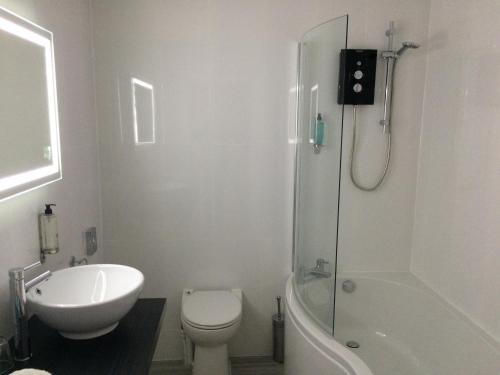 a white toilet sitting next to a shower in a bathroom at Portreath Arms in Portreath
