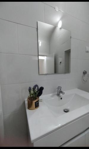 Casa do Raimundo