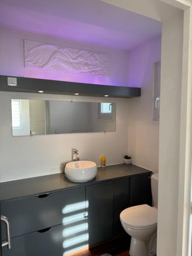 une salle de bain avec un lavabo et des toilettes dans l'établissement Coin de bien-être à Ronchamp, à Ronchamp