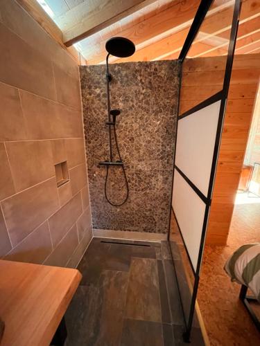 a bathroom with a shower in a room at Heerlijk vertoeven achter de groentetuin in Epe