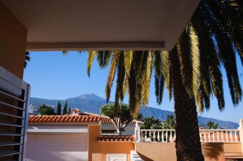 a view from the balcony of a house with a palm tree at Villa Casa Papaya - All Year Heated Pool in La Orotava