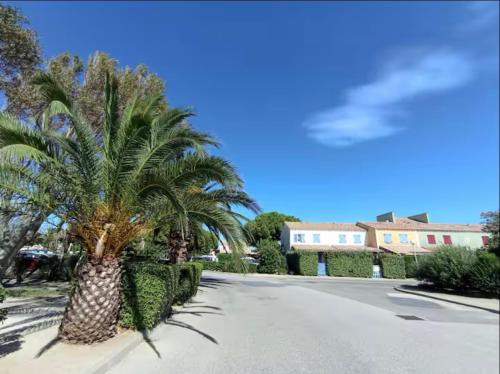 a palm tree on the side of a road at Belle marina en bord d'étang in Le Barcarès