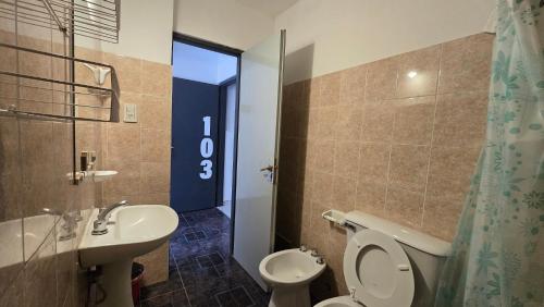 a bathroom with a toilet and a sink and a shower at Vida, hotel de playa in Puerto Madryn