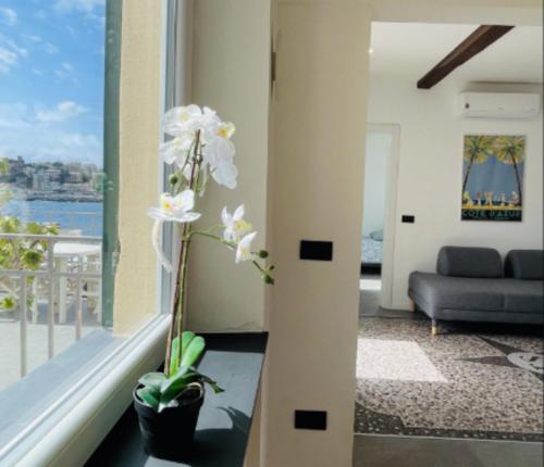 a vase with white flowers in a room with a balcony at Comodissimo Gaslini e mare in Genova