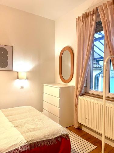 Magnifique & Cozy appartement au cœur de Strasbourg avec terrasse